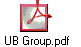 UB Group.pdf