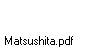 Matsushita.pdf