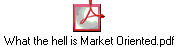 What the hell is Market Oriented.pdf