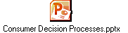 Consumer Decision Processes.pptx