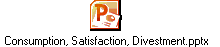 Consumption, Satisfaction, Divestment.pptx