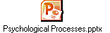 Psychological Processes.pptx