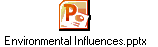 Environmental Influences.pptx