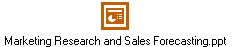 Marketing Research and Sales Forecasting.ppt