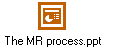 The MR process.ppt