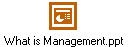 What is Management.ppt